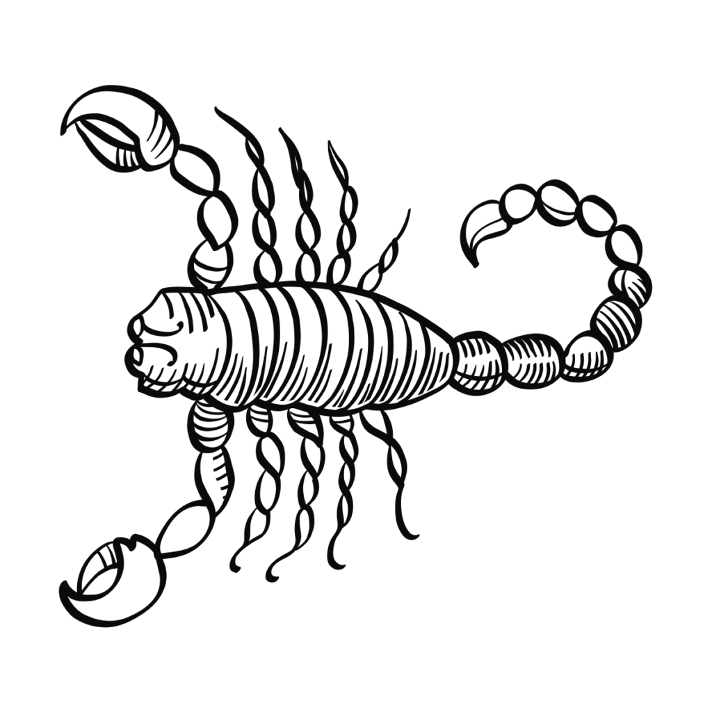 Scorpio